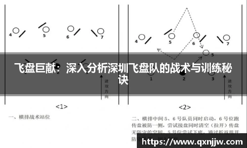 飞盘巨献：深入分析深圳飞盘队的战术与训练秘诀